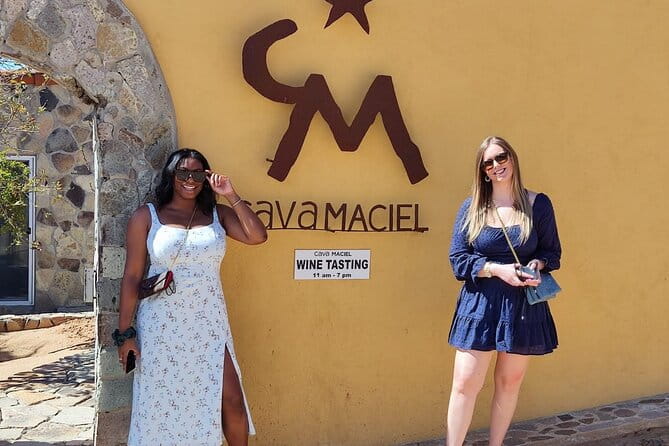 Premium Valle de Guadalupe Wine and Food Tour - What Sets This Tour Apart? The Details that Matter