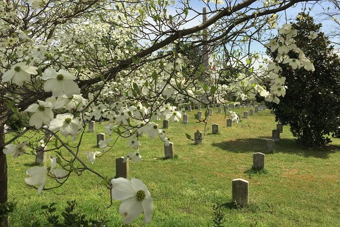 Private Atlanta History Tour From Civil War to Civil Rights - Final Thoughts