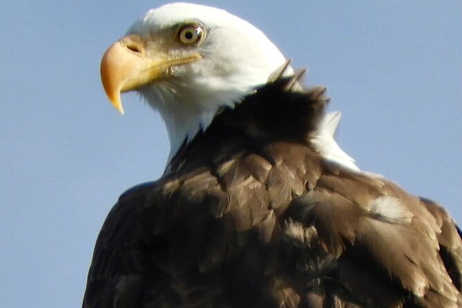 Private Birding Hike in Rocky Mountain National Park - What Makes This Tour Special?