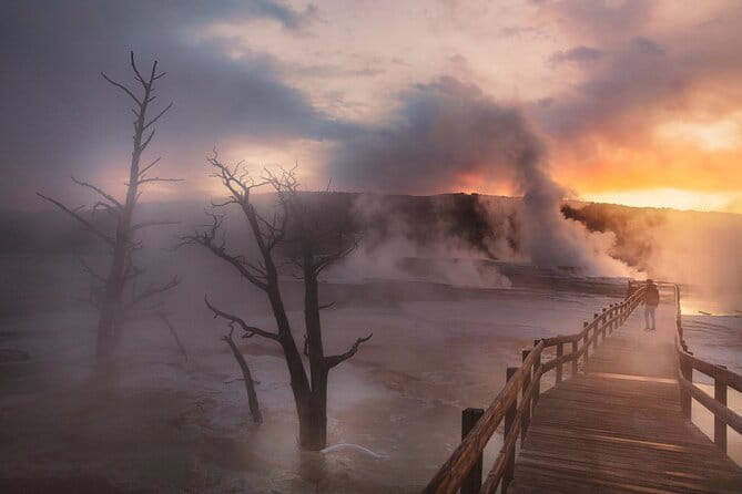 Private Full-Day Yellowstone National Park Tour - Final Thoughts