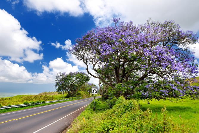 Private Haleakala Summit & Stroll from Kahului - Practical Considerations