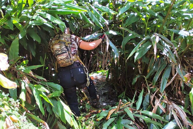 Private Jungle Waterfall Adventure, Wit Da Native Hawaiian Dundee - What to Expect from the Itinerary