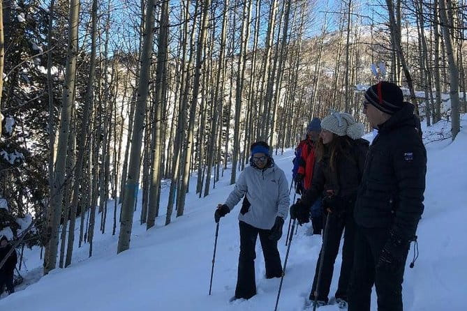 Private Park City Snowshoe Excursions (9:30am/12:30pm start time) - Who Will Love This Tour?