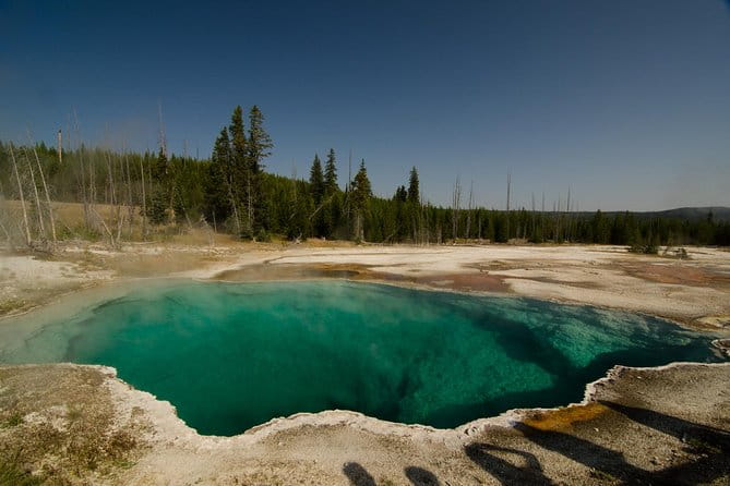 Private Yellowstone Old Faithful and Lower Loop Tour - Practical Details: What to Expect
