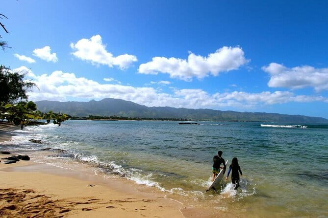 Roundtrip Shuttle From Waikiki to Dole Plantation & Haleiwa Town - Authenticity and Local Insight