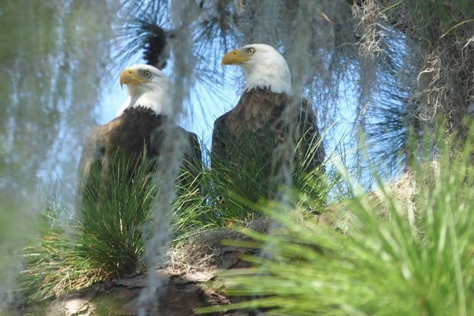 Saint Petersburg Preserve Bike Tour - What Sets This Tour Apart