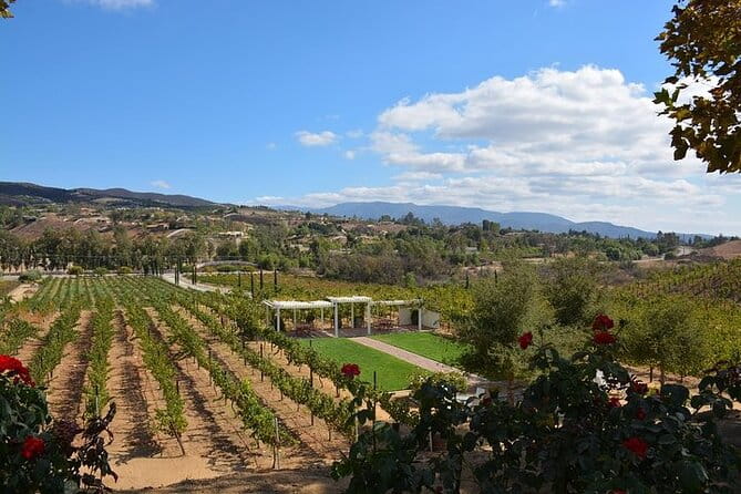 San Diego to Temecula: Wine Country Tour & Historic Old Town - Who Will Love This Tour?