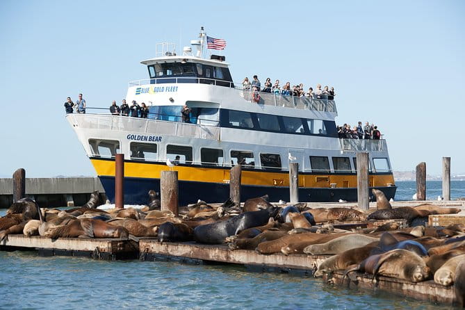 San Francisco Bay Cruise - The Cost and Its Value