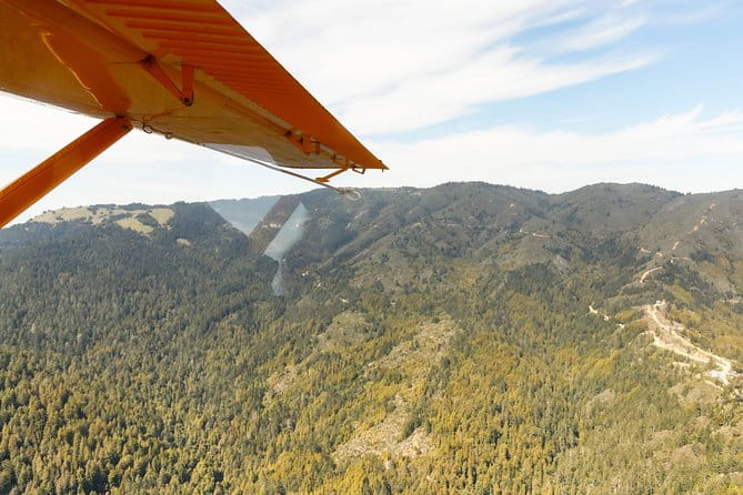 San Francisco Golden Gate Seaplane Tour - What Makes the Experience Stand Out?
