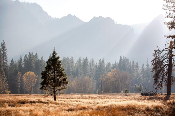 San Francisco: Yosemite National Park and Giant Sequoia Day Tour - FAQs