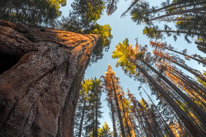Sequoia & Kings Canyon NP Self-Guided Driving Audio Tour - Optional Detour: Crystal Cave