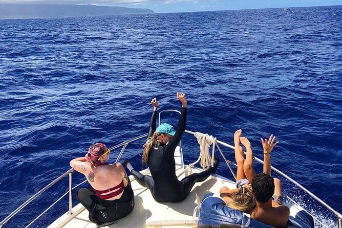 Shark Dive Oahu (No cage) - Is This Tour Worth It?