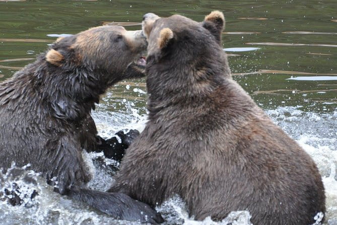 Sitka Sightseeing Tour including Fortress of the Bear and Totem Poles - FAQ