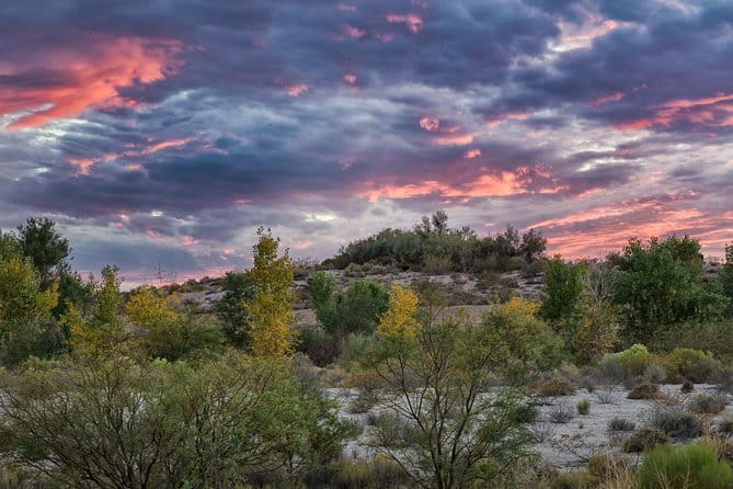 Skip the Line: Springs Preserve in Las Vegas Admission Ticket - Who Is This Tour Best For?