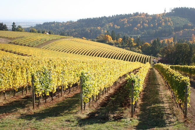 Small Group: Willamette Valley Wine Tour From Portland (Tasting Fees Included) - Final Thoughts