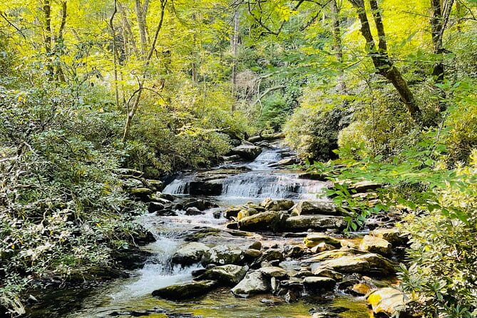 Smoky Mountains Newfound Gap Jeep Tour - The Value Proposition: Is It Worth It?