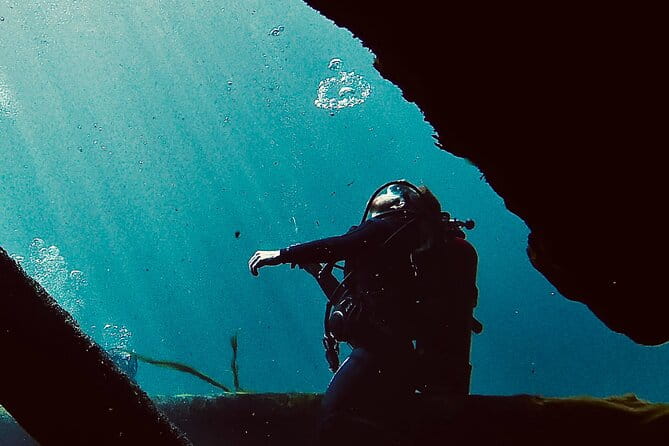 Snorkel Or Dive The Amazing Rainbow River Florida - The Value: Is It Worth the Price?