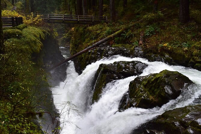 Sol Duc, Lake Crescent, and Hurricane Ridge Guided Tour in Olympic National Park - Final Thoughts