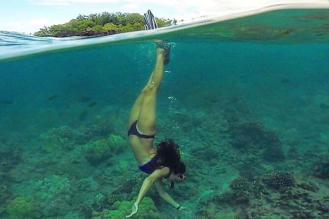 South Maui Kayak and Snorkel Tour with Turtles - FAQs