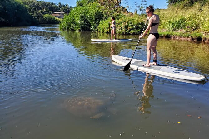 Stand Up Paddle Nature and Turtle tour-Guaranteed to see turtles - Final Thoughts