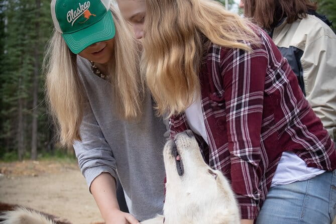 Summer Mushing Cart Ride & Kennel Tour - Value and Practical Details