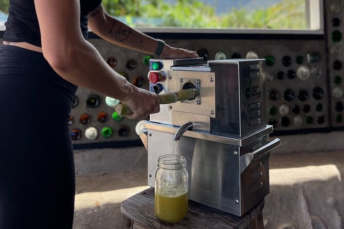 Taste of Hawaii: A Maui Farm Tour - Practical details: What to expect