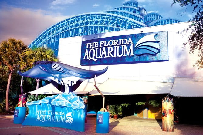 The Florida Aquarium in Tampa General Admission - What the Reviews Say: Authentic Perspectives