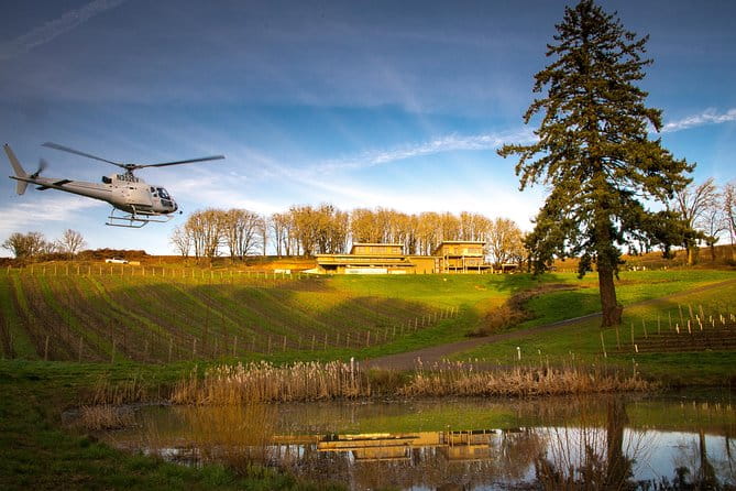 Tour DeVine by Heli - Helicopter Wine Tour - Practical Details and Tips