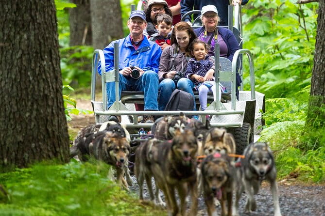 Turning Heads Kennel Dogsledding Experience & Tour - Final Thoughts