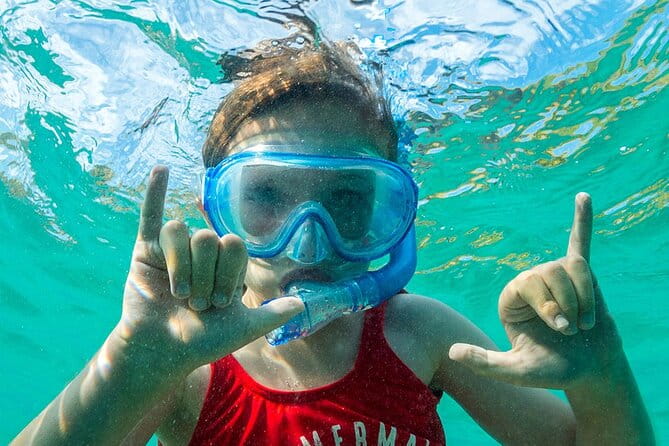 Turtle Canyon Waikiki Snorkel Adventure - Who Will Love This Tour?