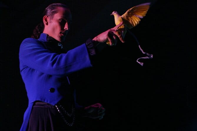 V - The Ultimate Variety Show at Planet Hollywood Resort and Casino - Who Is This Show Best For?