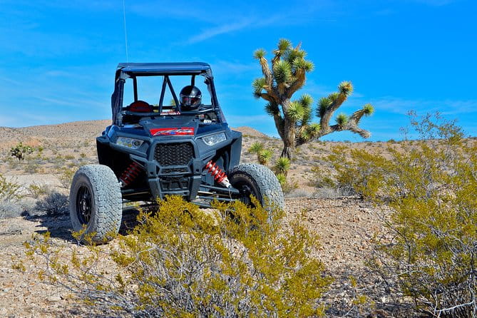 Vegas Desert RZR Adventure with Lunch at the Pioneer Saloon - Who Will Love This Tour?