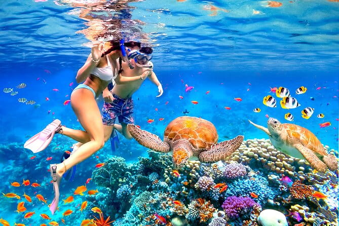 Waikiki Catamaran Escape: Snorkel with Turtles & Water Sports Fun - Who’s It Perfect For?