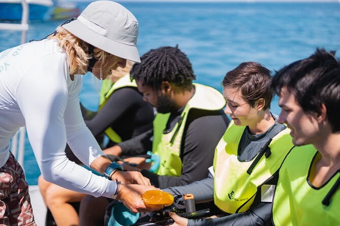 Waikiki Turtle Canyon Snorkeling with Hula Show - Group Size, Duration, and Value