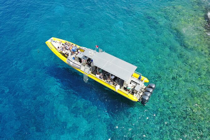 Whale Watch Adventure Aboard Maui's Only Luxury Super Raft - Comfort and Practical Details