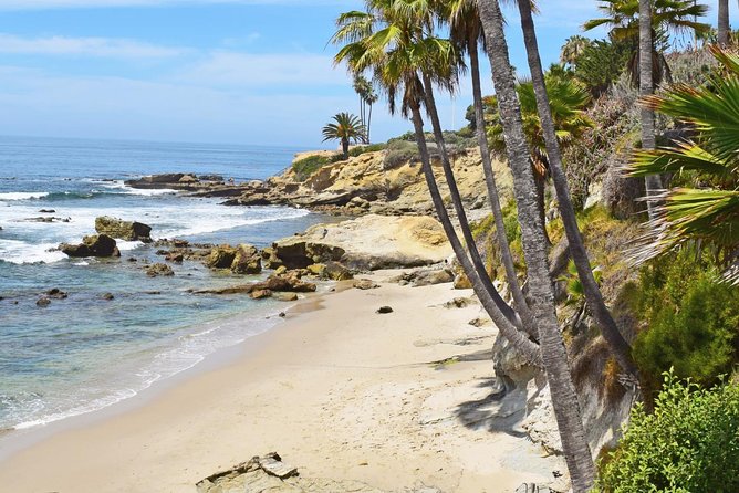 Whale-Watching and Orange County Beaches Tour from Anaheim - Practical Details and What You Should Know