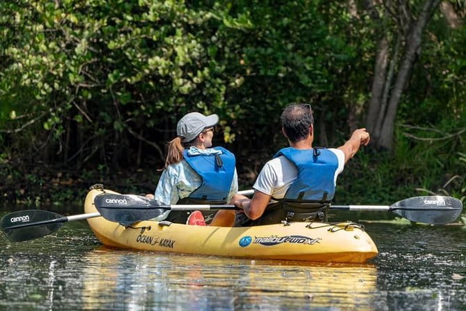 Wild & Scenic Loxahatchee River Guided Tour - The Guide Experience