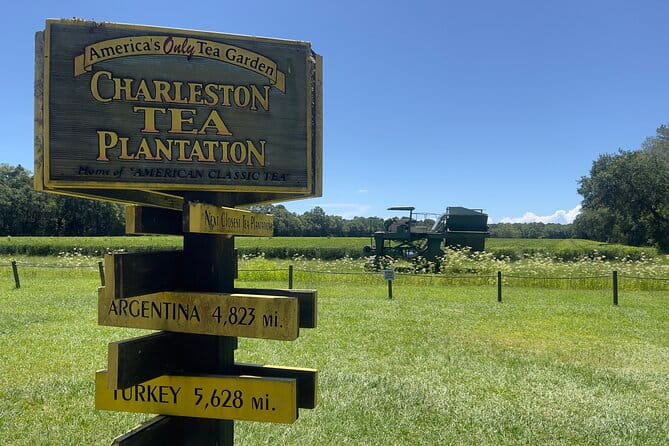Wine Sippin'-Tea Drinkin'-Tree Huggin' Lowcountry Sightseeing - Final Thoughts