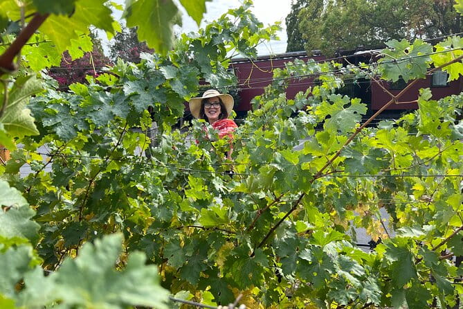 Yountville Food and Wine Tour in Napa - Frequently Asked Questions