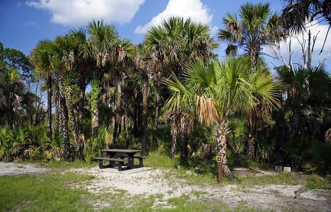 4-Hour Swamp Buggy Adventure Tour in Florida - Exploring the 4-Hour Swamp Buggy Adventure Tour in Florida