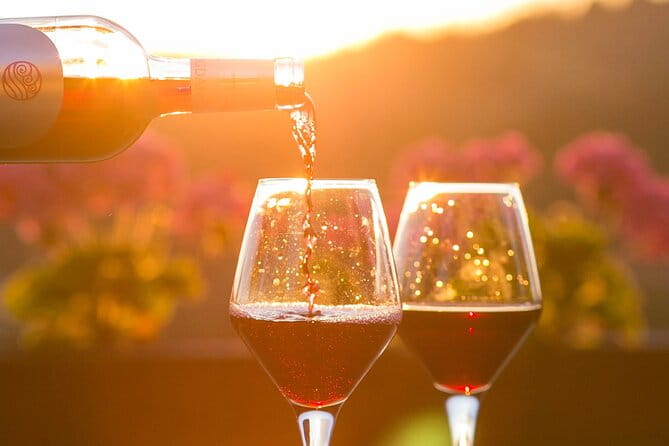 4-Hour Traverse City Sunset Wine Tour: 3 Wineries on Old Mission Peninsula - An In-Depth Look at the 4-Hour Traverse City Sunset Wine Tour