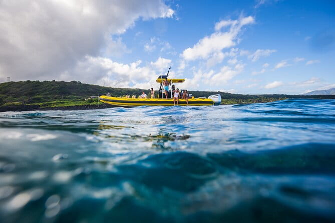 1.5 -Hour Guided Whale and Marine Life Tour - The Sum Up: Is This Tour Worth It?