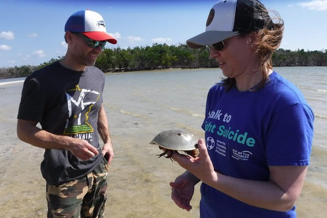 10,000 Islands Excursion Small-Group 3.5 hour Dolphin & Shelling Boat Tour - Summary: Who Should Book This Tour?