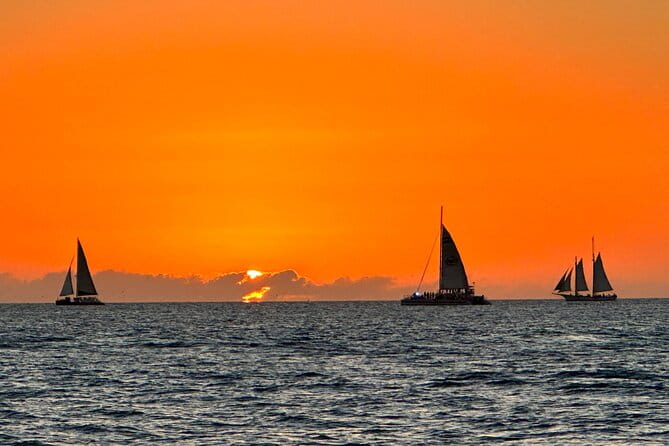 2 Hour Private Dolphin and Sightseeing Tour in Shell Island - Who Will Love This Tour?