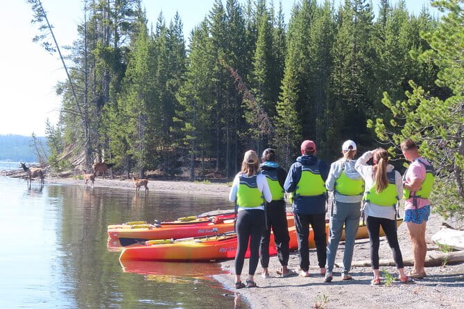 4-Hour Morning Kayak on Yellowstone Lake with Lunch - Authentic Perspective from Travelers
