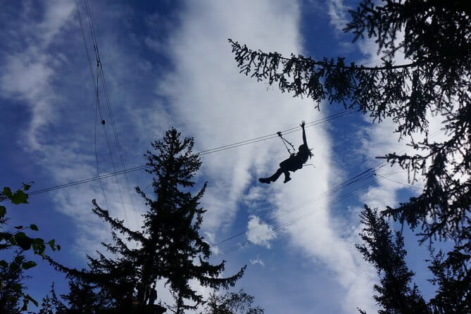 Adventure Parks & Zipline Tour - Final Thoughts: Is This Tour Right for You?