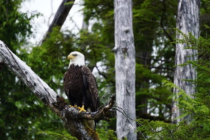 Alaska Ocean Wilderness Expedition - Final Thoughts