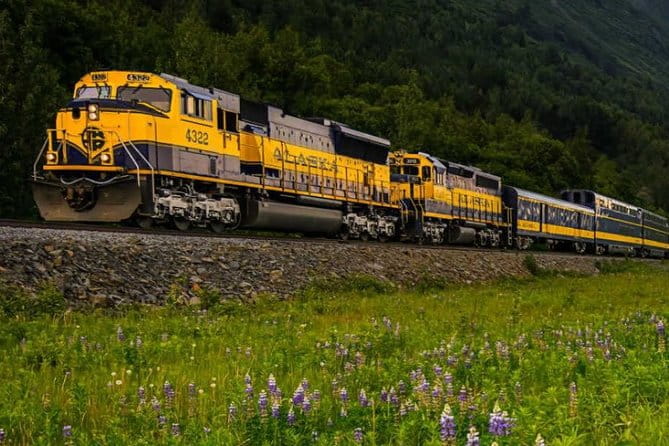 Alaska Railroad Anchorage to Denali One Way - Authentic Experiences and Traveler Feedback