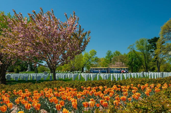 Arlington National Cemetery Hop-On Hop-Off Tour - The Sum Up: Is It Worth It?