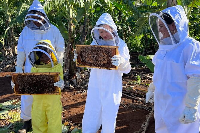 Bee Farm Ecotour and Honey Tasting in Waialua, North Shore Oahu - The Sum Up